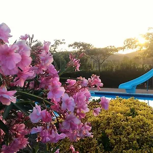 https://agriturismo-valle-del-sole.it-tuscanyhotel.com